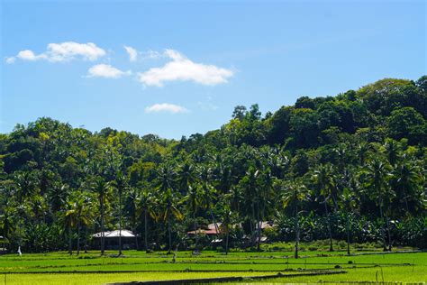 wat te doen in siquijor|Wat te doen in Siquijor: de 10 beste activiteiten (2024) .